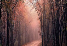 开云体育：英超-阿玛德救主 利物浦2-2曼联6分领跑积分榜.