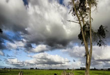 开云体育：乱战中的里程碑，楚阿梅尼攻入皇马队史第10000球.